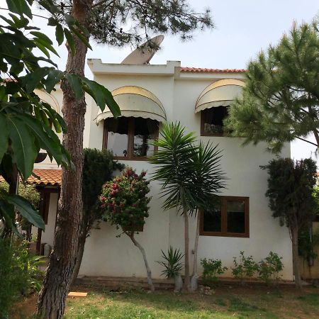 Villa Natalia Agia Napa Exterior foto