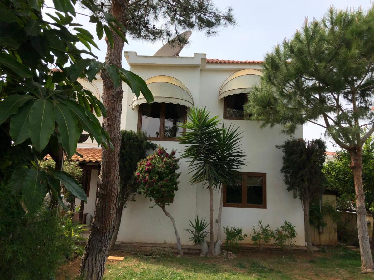 Villa Natalia Agia Napa Exterior foto